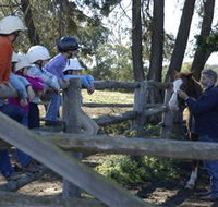 Harlow Park Horse Riding - Accommodation Mooloolaba