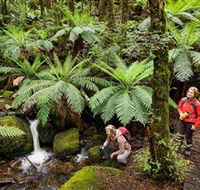 Baw Baw National Park - Accommodation Mooloolaba