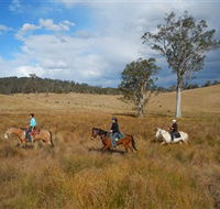 Chapman Valley Horse Riding - Accommodation Mooloolaba