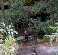 Leura Cascades Fern Bower - Accommodation Mooloolaba