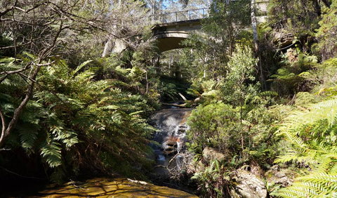 Leura Cascades Fern Bower - Accommodation Mooloolaba 3