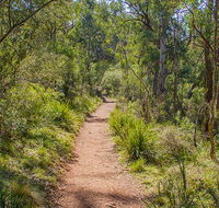 Mares Forest Creek walking track - Accommodation Mooloolaba