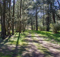Wombeyan Waterfall walking track - Accommodation Mooloolaba