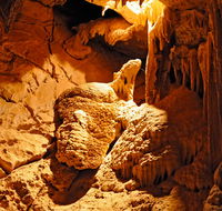Fig Tree Cave - Accommodation Mooloolaba