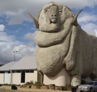 Big Merino - Accommodation Mooloolaba