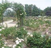 Victoria Park Rose Garden - Accommodation Mooloolaba