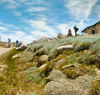 Mount Kosciuszko Summit walk - Accommodation Mooloolaba