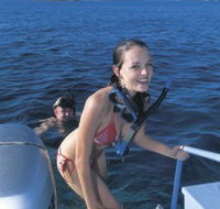 Seal Cove - Accommodation Mooloolaba
