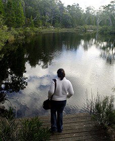 Boonoo Boonoo Falls National Park - Accommodation Mooloolaba 1