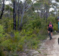 McMahon's Point ride - Wentworth Falls - Accommodation Mooloolaba
