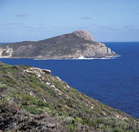 Bald Head Walking Track - Accommodation Mooloolaba