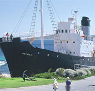 Discovery Bay Tourism Experience - Accommodation Mooloolaba