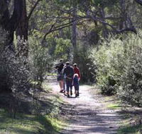 Syd's Rapids and Aboriginal Heritage Trail Avon Valley - Accommodation Mooloolaba