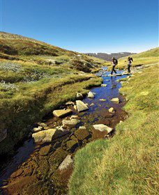 Sawpit Creek NSW Accommodation Mooloolaba