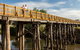 Gippsland Plains Rail Trail - thumb 1