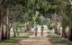 Gippsland Plains Rail Trail - thumb 3