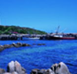 King Island Dairies - Accommodation Mooloolaba