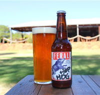Feral Brewing Company - Accommodation Mooloolaba