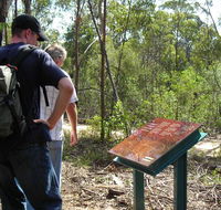 Finchley cultural walk - Accommodation Mooloolaba