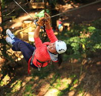 Trees Adventure Grose River Park - Accommodation Mooloolaba