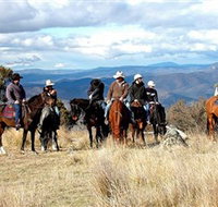 Snowy Wilderness - Accommodation Mooloolaba