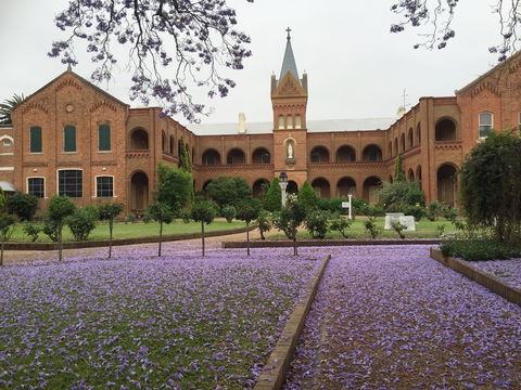 Sacred Spaces At The Sisters Of Mercy Convent - Accommodation Mooloolaba 12