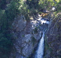 Lyrebird Falls walking track - Accommodation Mooloolaba