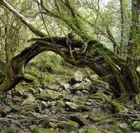 Mitchell River National Park - Accommodation Mooloolaba