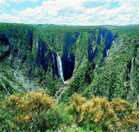 Wollomombi Falls - Accommodation Mooloolaba