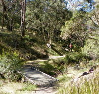 Wollomombi walking track - Accommodation Mooloolaba