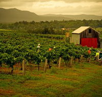 Around Hermitage Wine and Food Trail Hunter Valley - Accommodation Mooloolaba