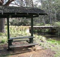 Barrington Tops State Forest - Accommodation Mooloolaba