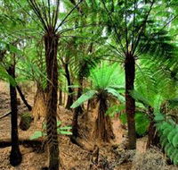 Pegarah Private Nature Reserve  Parenna Place - Accommodation Mooloolaba