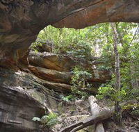 Cave Creek Walking Track - Accommodation Mooloolaba