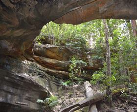 Cave Creek Walking Track - Accommodation Mooloolaba 0
