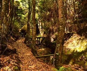 Cave Creek Walking Track - Accommodation Mooloolaba 2