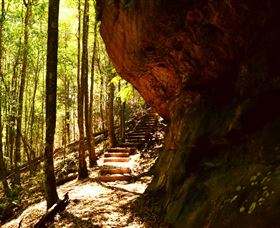 Cave Creek Walking Track - Accommodation Mooloolaba 1