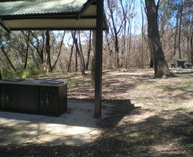 Cave Creek Walking Track - Accommodation Mooloolaba 4