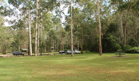 Mill Creek Picnic Area - Accommodation Mooloolaba 0
