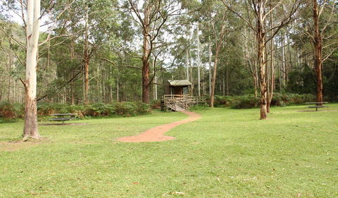 Mill Creek Picnic Area - Accommodation Mooloolaba 2