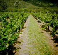 Gartelmann Wines - Accommodation Mooloolaba