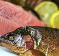 Lovedale Smokehouse Gourmet Pantry Cafe and Masterclasses - Accommodation Mooloolaba