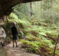 Dharug National Park - Accommodation Mooloolaba