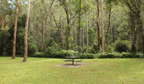 Dharug National Park - Accommodation Mooloolaba 3