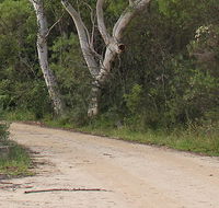 Riverview walking track - Accommodation Mooloolaba