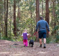 Olney State Forest - Watagan Mountains - Accommodation Mooloolaba