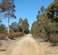 Werakata National Park - Accommodation Mooloolaba
