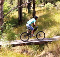 The Steps Mountain Bike Park - Accommodation Mooloolaba
