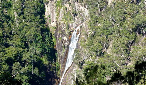 Carrai National Park - Accommodation Mooloolaba 0