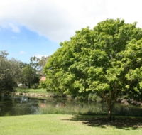 Hervey Bay Botanic Gardens - Accommodation Mooloolaba